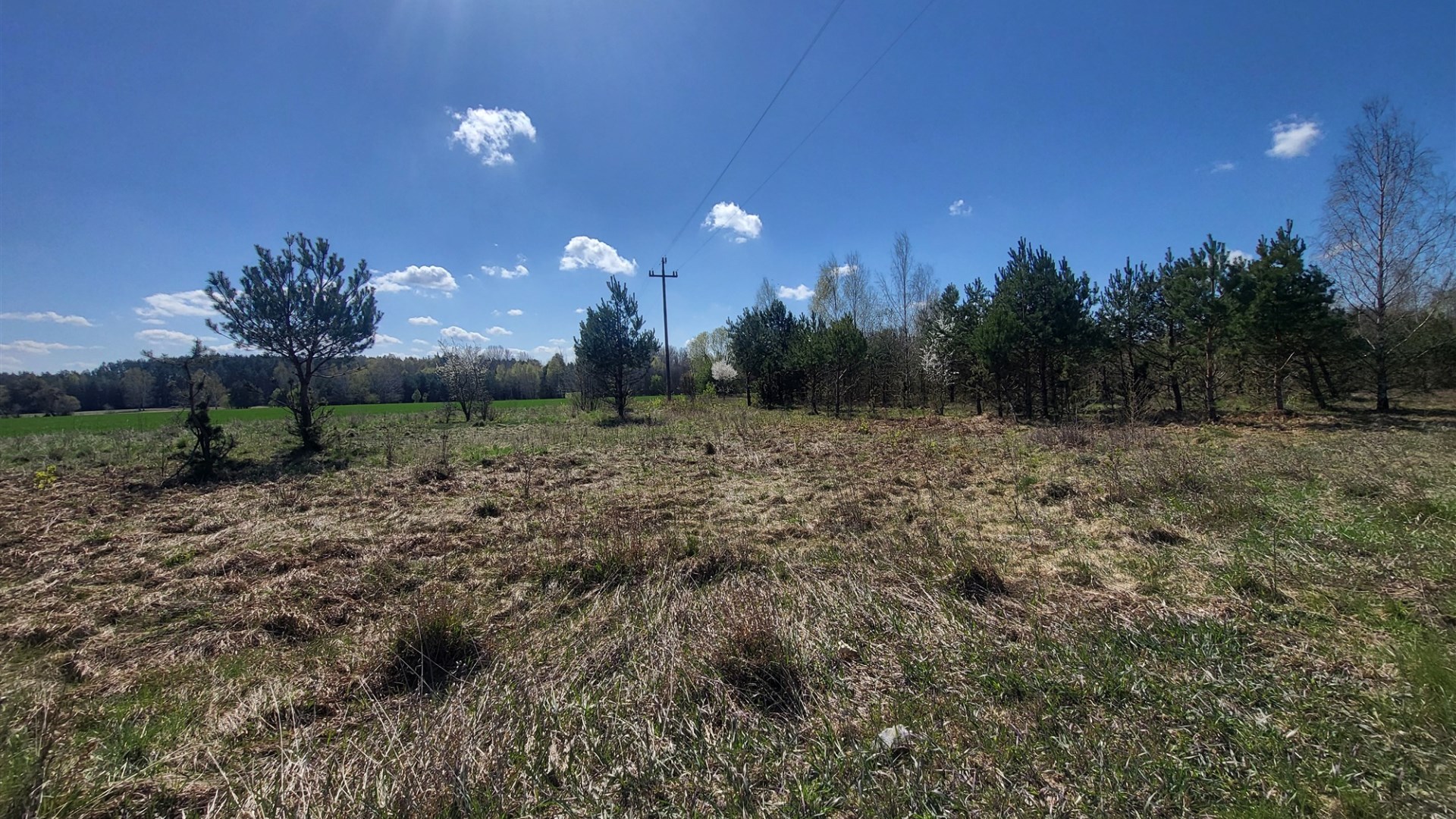 Działka na sprzedaż